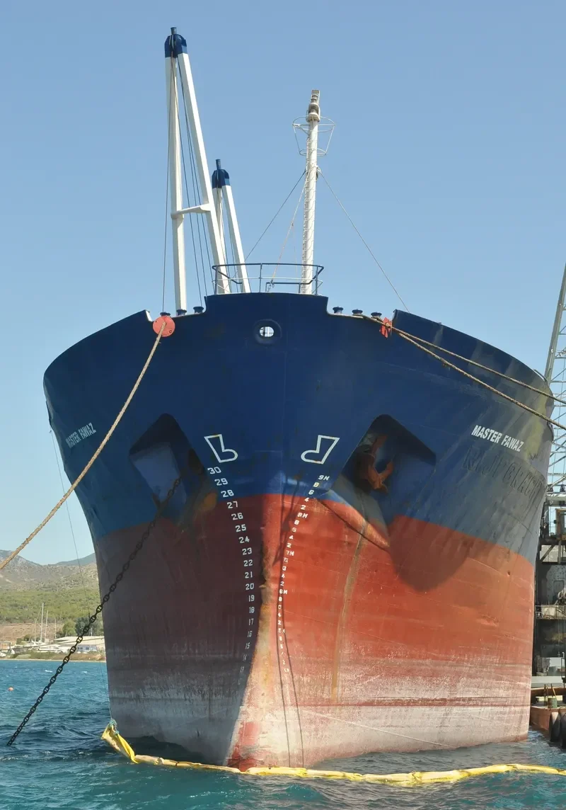 MUSTAFA BEY General Cargo IMO 7519921 photo 9