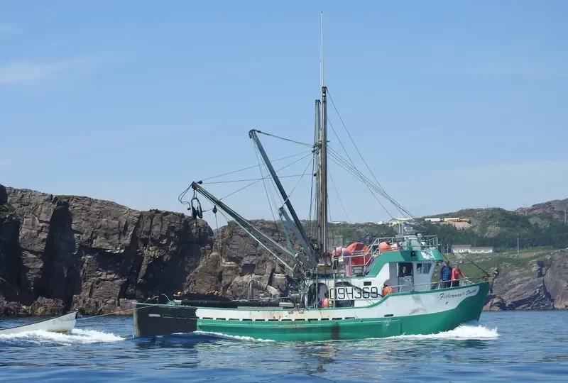 FISHERMANS DREAM General Cargo IMO 7520401
