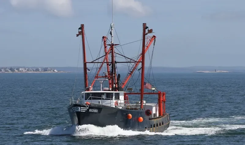 NASHIRA General Cargo IMO 7520425 photo 4
