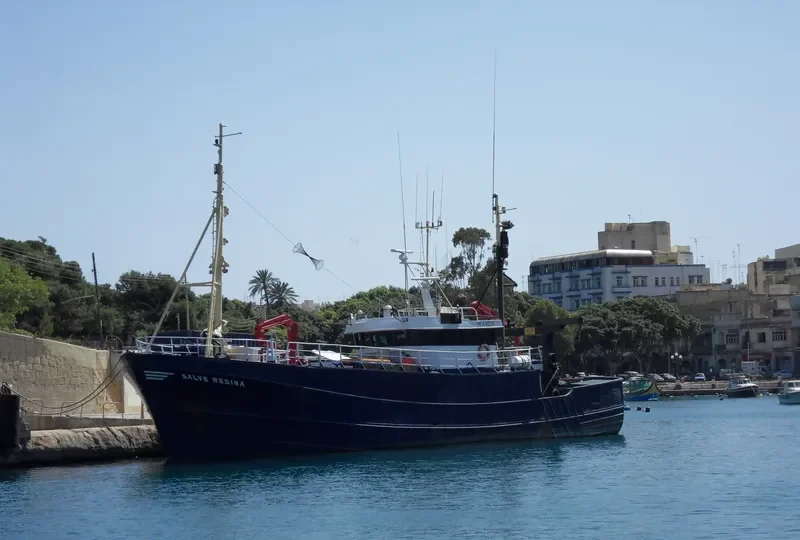 SALVE REGINA General Cargo IMO 7521560 photo 2
