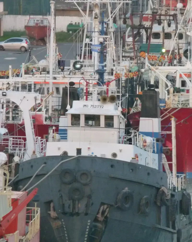 LIBERTADOR General Cargo IMO 7521792 photo 2