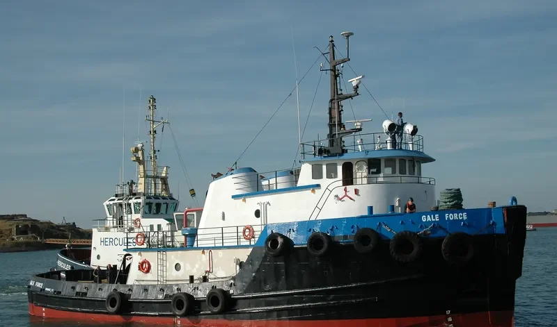 GALE FORCE General Cargo IMO 7523817 photo 7