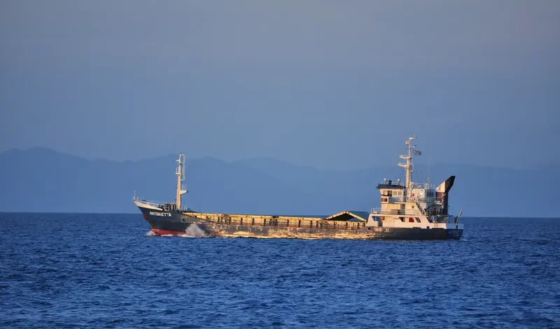 ANTONIETTA General Cargo IMO 7524029