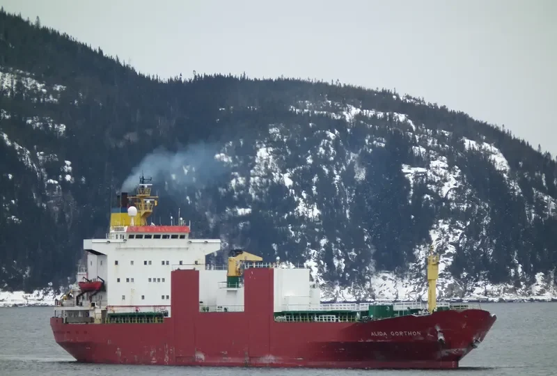 ALIDA GORTHON General Cargo IMO 7524201 photo 9