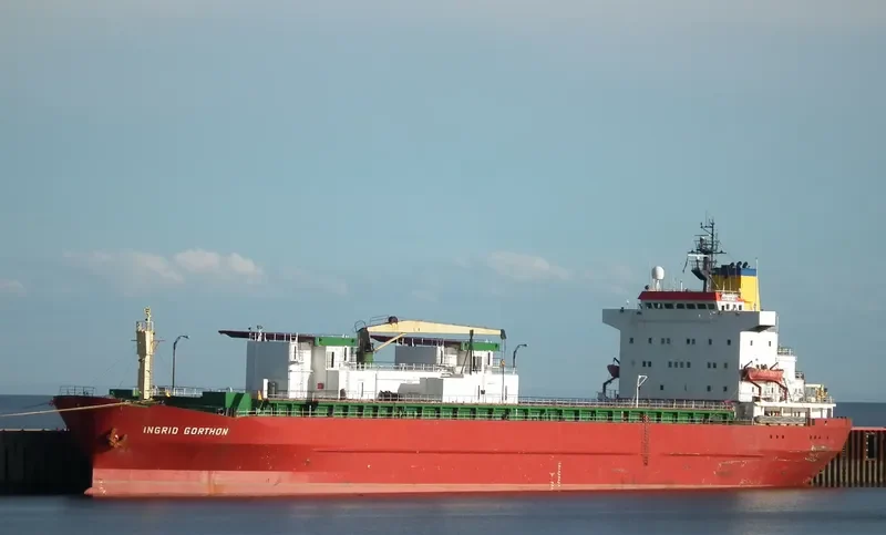 FOREST COSTA RICA General Cargo IMO 7524213 photo 2