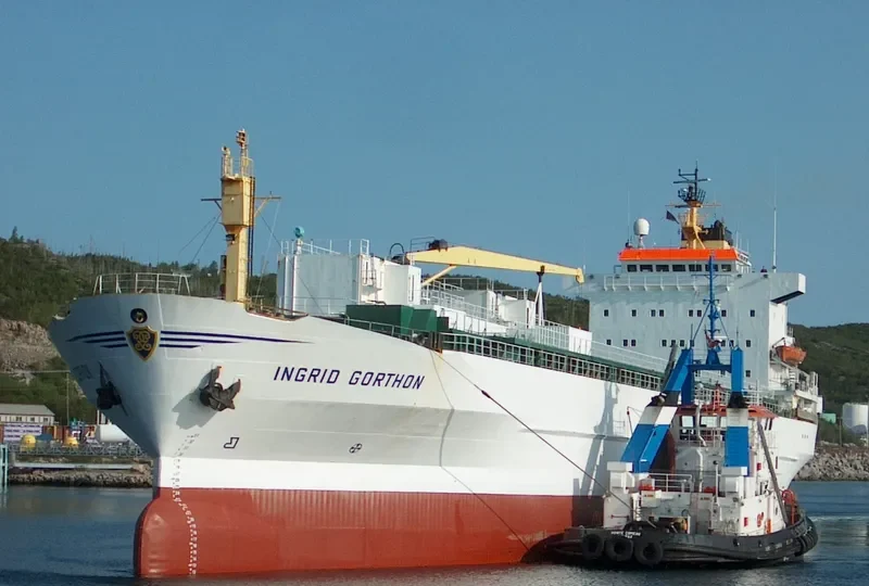 FOREST COSTA RICA General Cargo IMO 7524213 photo 3