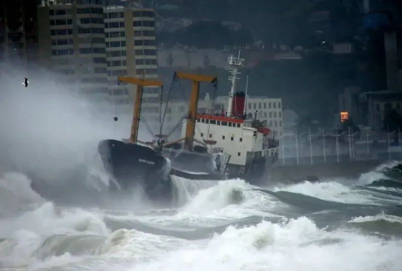 CERRO ALEGRE General Cargo IMO 7524299