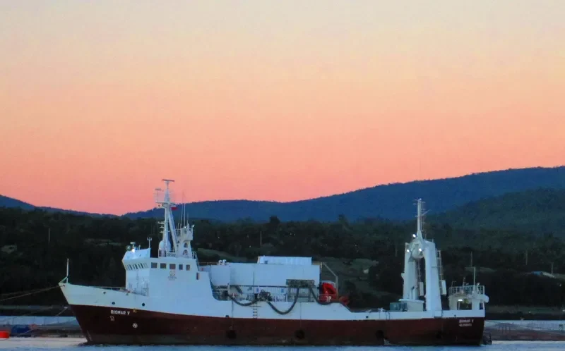 BIO MAR V General Cargo IMO 7525190 photo 2