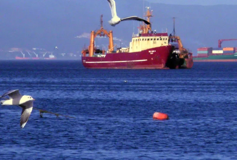 BIO MAR V General Cargo IMO 7525190 photo 5