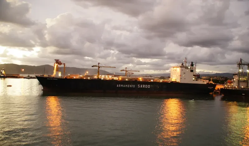 DELFINO GRIGIO Ro-Ro IMO 7525322