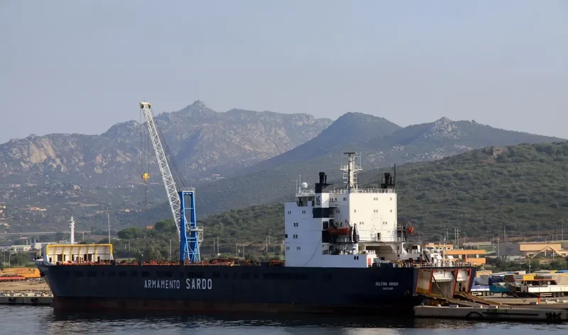 DELFINO GRIGIO Ro-Ro IMO 7525322 photo 2