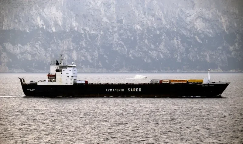 DELFINO GRIGIO Ro-Ro IMO 7525322 photo 5