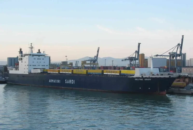 DELFINO GRIGIO Ro-Ro IMO 7525322 photo 6