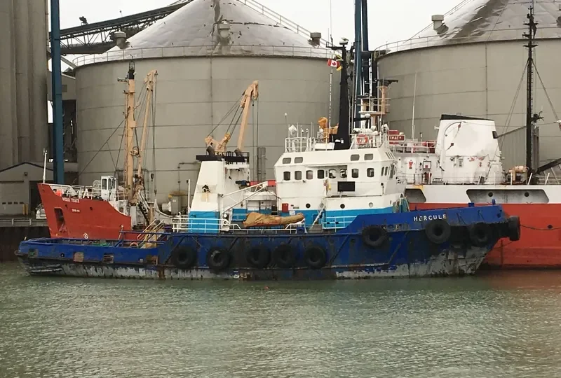 HERCULE General Cargo IMO 7525346