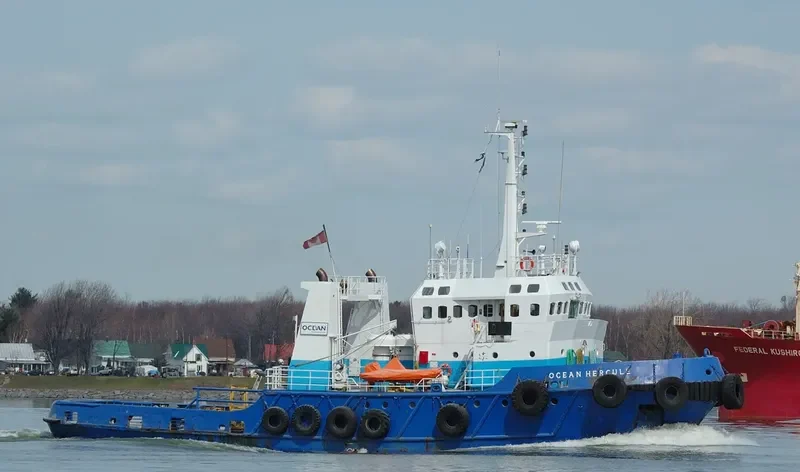HERCULE General Cargo IMO 7525346 photo 5