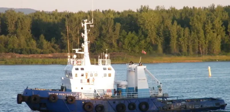 HERCULE General Cargo IMO 7525346 photo 9