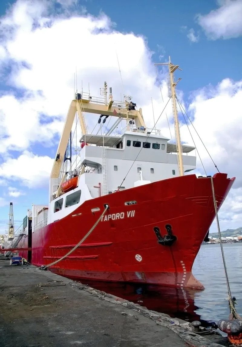 TAPORO VII General Cargo IMO 7525360 photo 6