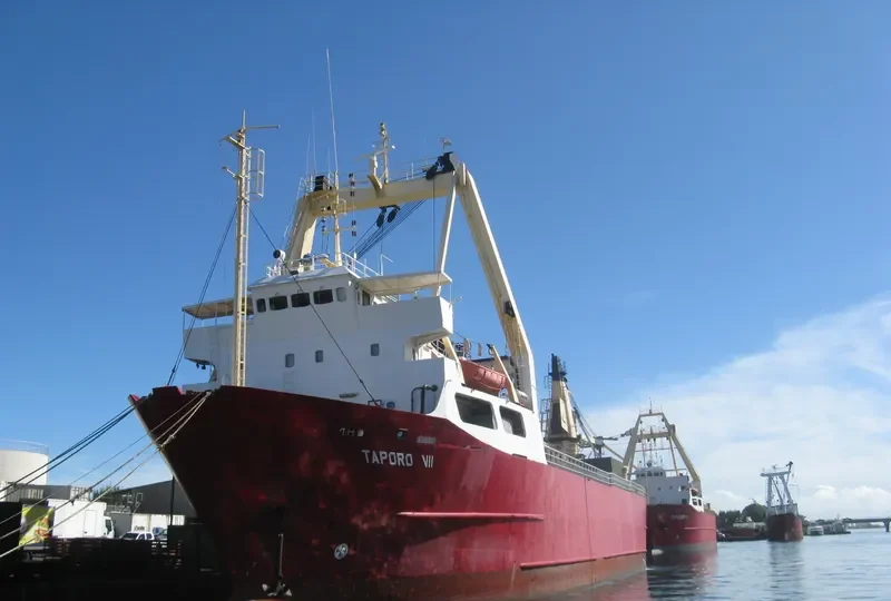 TAPORO VII General Cargo IMO 7525360 photo 8