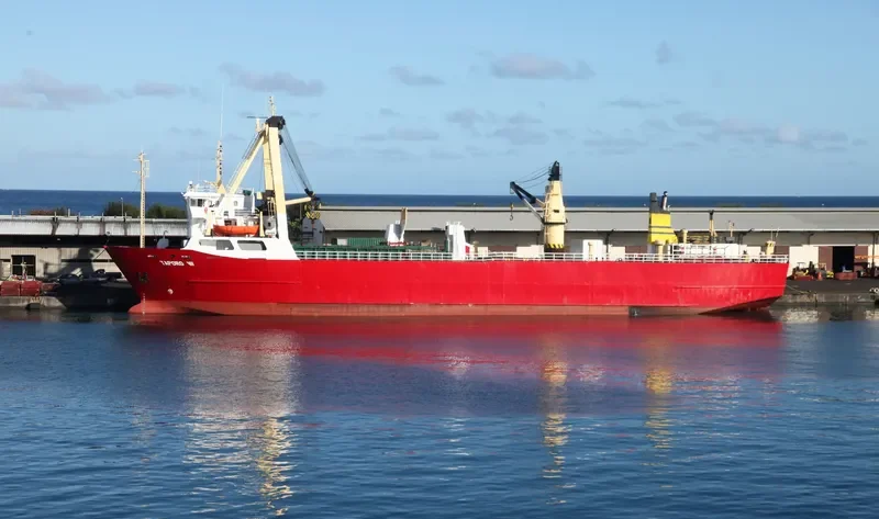TAPORO VII General Cargo IMO 7525360 photo 9