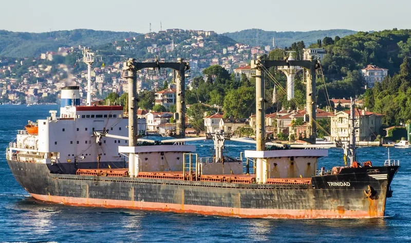 TRINIDAD Bulk Carrier IMO 7525504