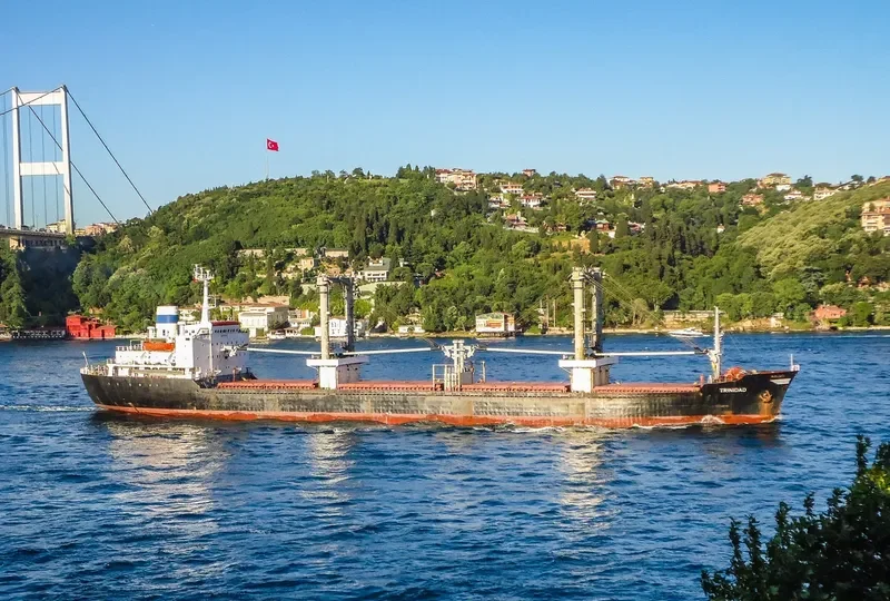 TRINIDAD Bulk Carrier IMO 7525504 photo 2