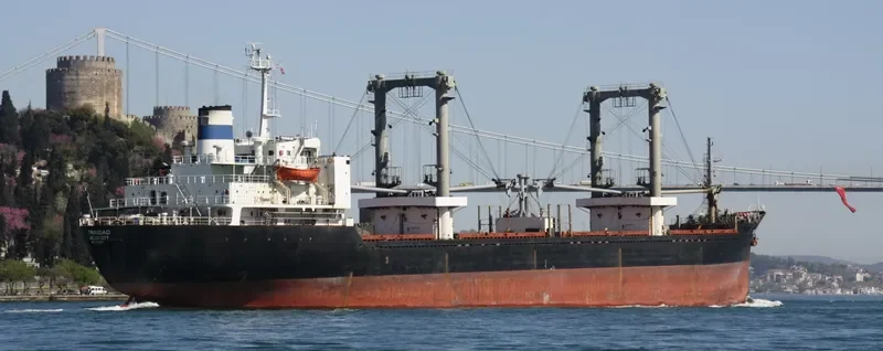 TRINIDAD Bulk Carrier IMO 7525504 photo 6