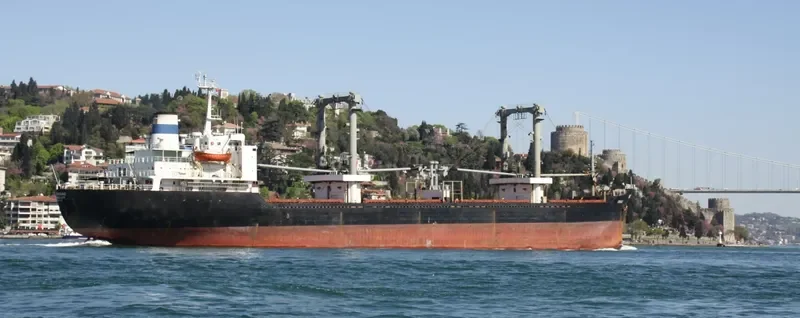 TRINIDAD Bulk Carrier IMO 7525504 photo 7
