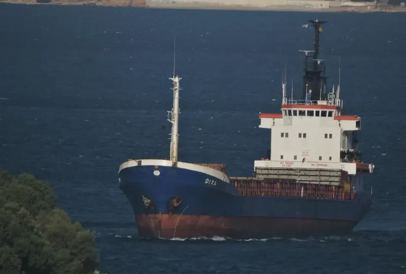 DIAA General Cargo IMO 7525592 photo 4