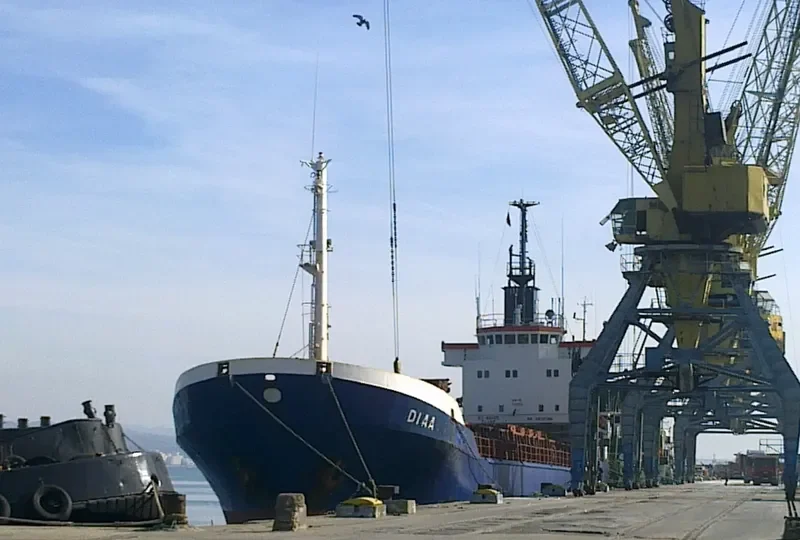 DIAA General Cargo IMO 7525592 photo 7