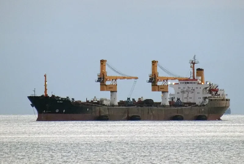 ALINA Bulk Carrier IMO 7525683