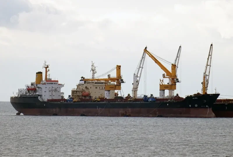 ALINA Bulk Carrier IMO 7525683 photo 2