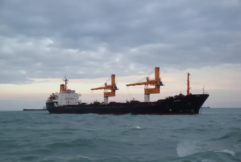 ALINA Bulk Carrier IMO 7525683 photo 3