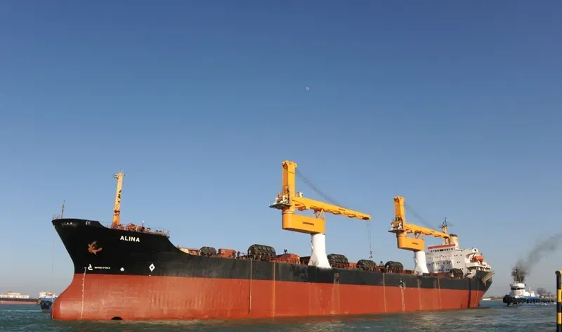 ALINA Bulk Carrier IMO 7525683 photo 5
