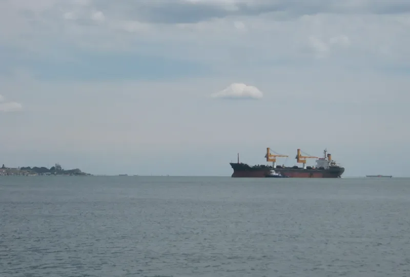 ALINA Bulk Carrier IMO 7525683 photo 6