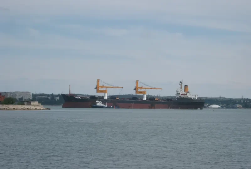 ALINA Bulk Carrier IMO 7525683 photo 7