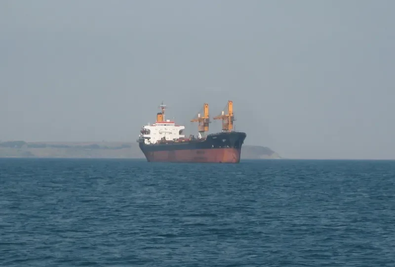 ALINA Bulk Carrier IMO 7525683 photo 8