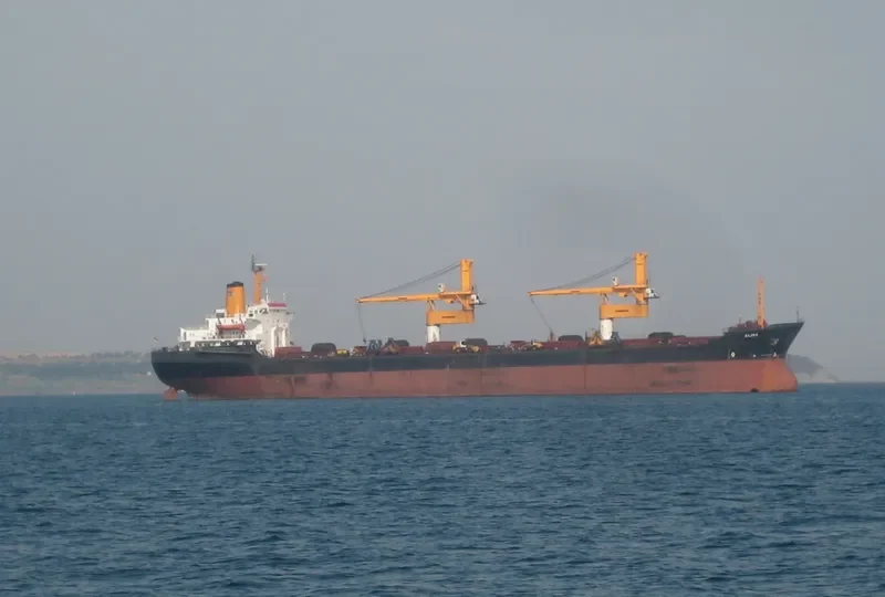 ALINA Bulk Carrier IMO 7525683 photo 9