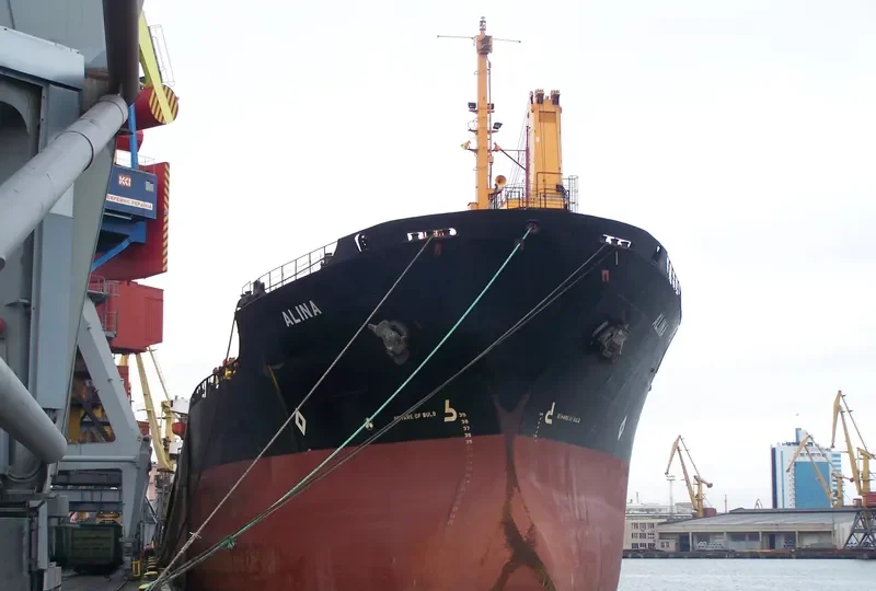 ALINA Bulk Carrier IMO 7525683 photo 10
