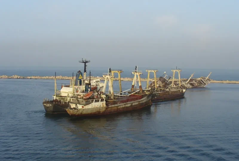 EGASCO FORTUNE Bulk Carrier IMO 7525853