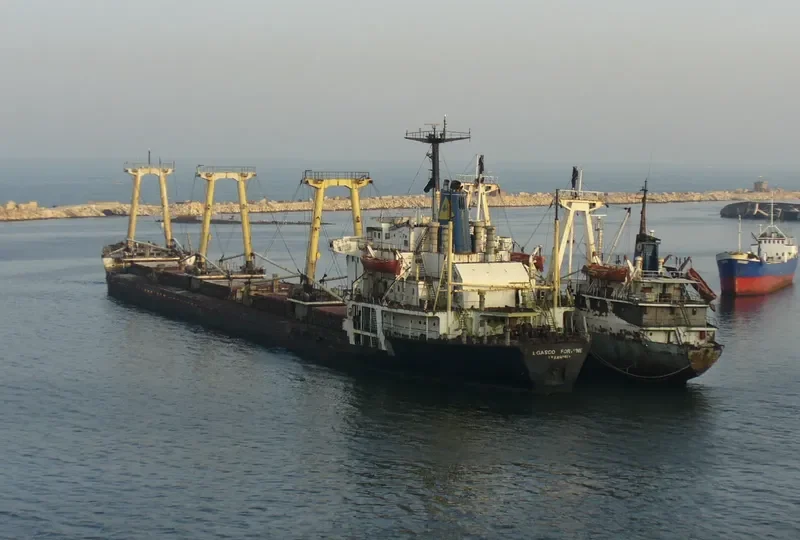 EGASCO FORTUNE Bulk Carrier IMO 7525853 photo 2