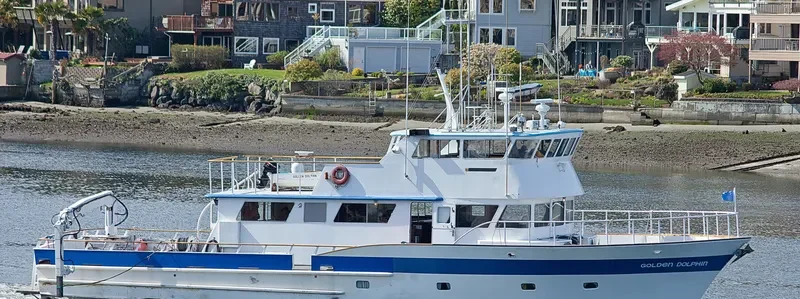 GOLDEN DOLPHIN General Cargo IMO 7526259 photo 2