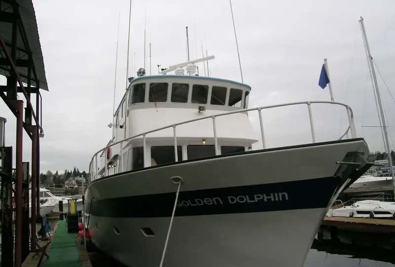 GOLDEN DOLPHIN General Cargo IMO 7526259 photo 3