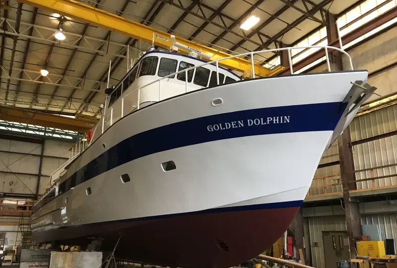 GOLDEN DOLPHIN General Cargo IMO 7526259 photo 4
