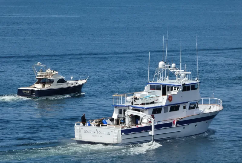 GOLDEN DOLPHIN General Cargo IMO 7526259 photo 8