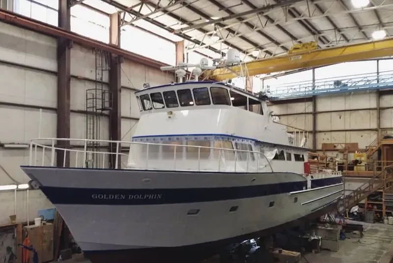 GOLDEN DOLPHIN General Cargo IMO 7526259 photo 10
