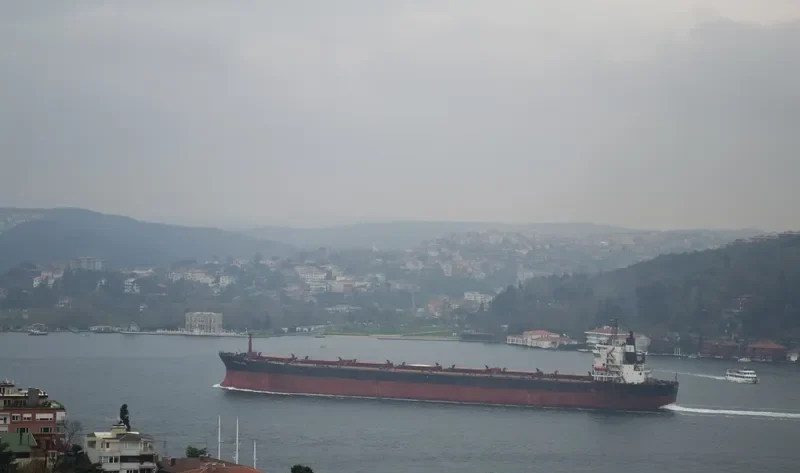 PIONEER EPOS Bulk Carrier IMO 7526584 photo 5