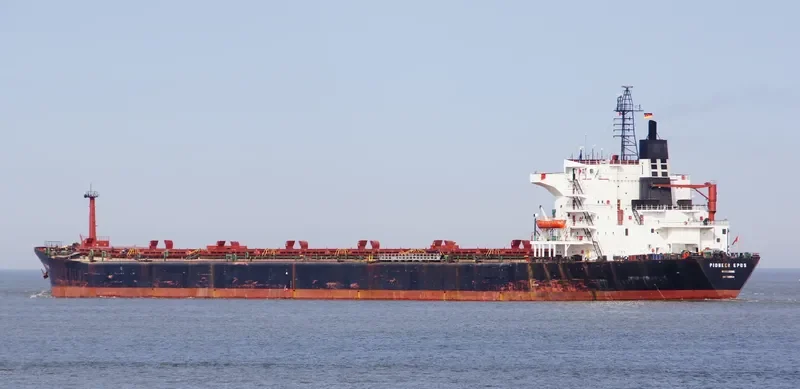 PIONEER EPOS Bulk Carrier IMO 7526584 photo 7