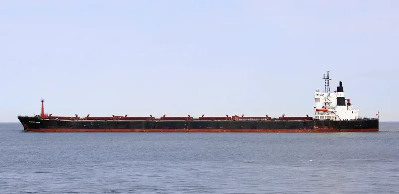 PIONEER EPOS Bulk Carrier IMO 7526584 photo 8