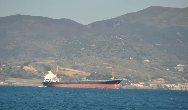 KNEO General Cargo IMO 7526613 photo 10