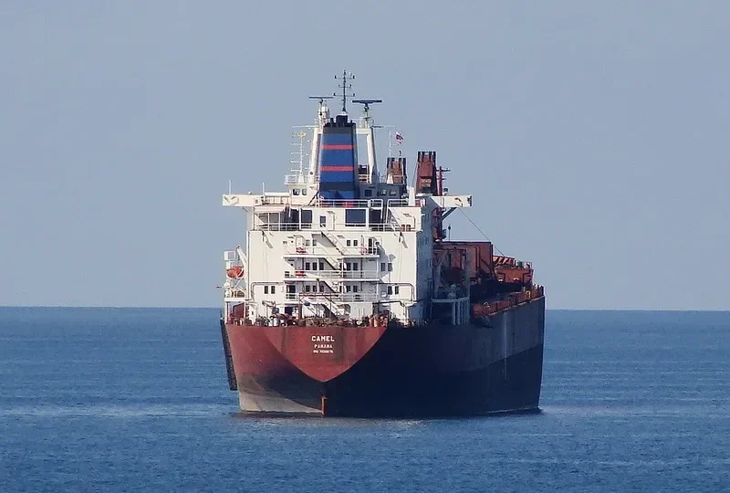 SHASHANK Bulk Carrier IMO 7526675 photo 3